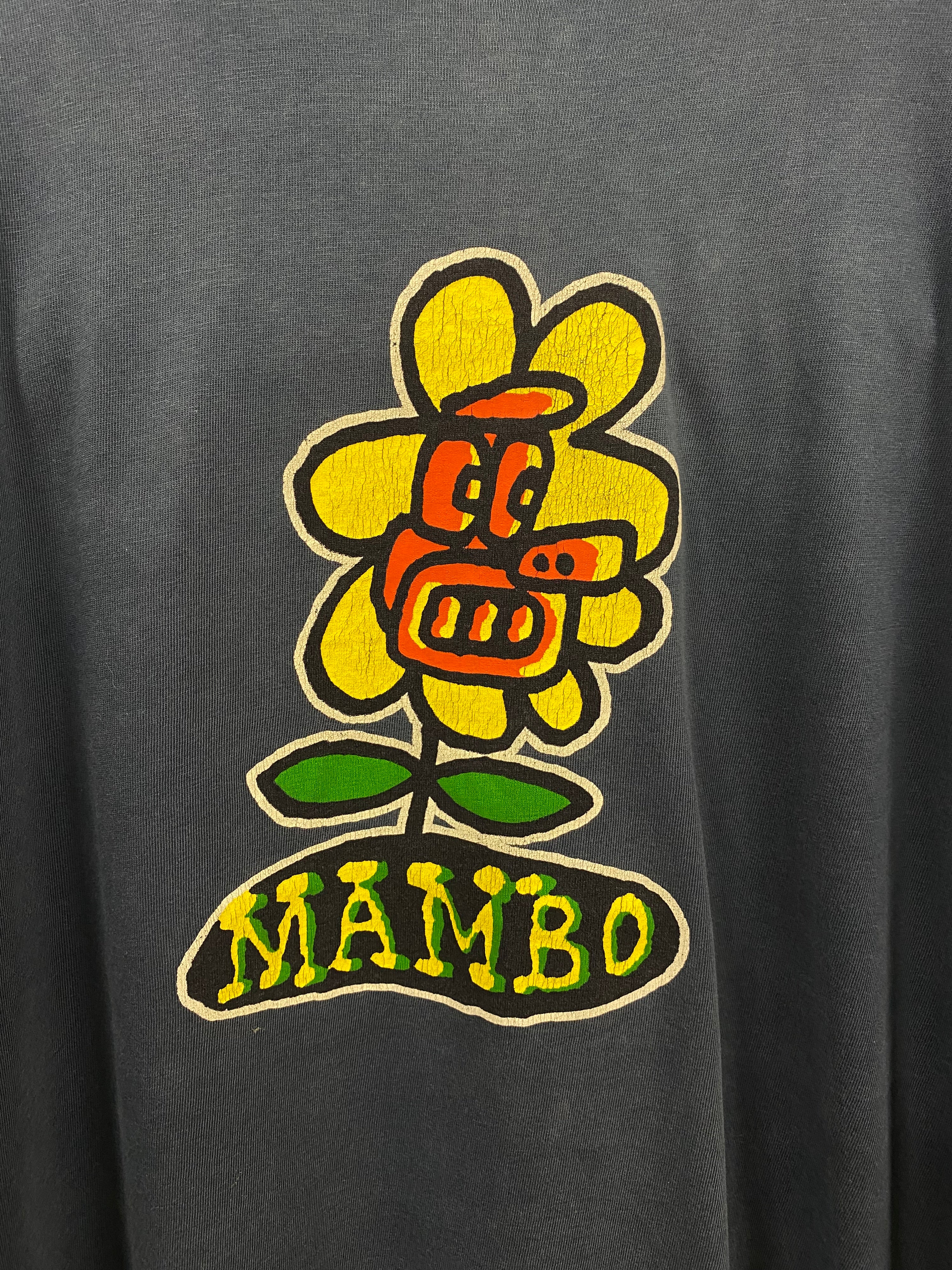 [L] 1992 Mambo Flowerpot Long Sleeve Double Sided Distressed Tshirt