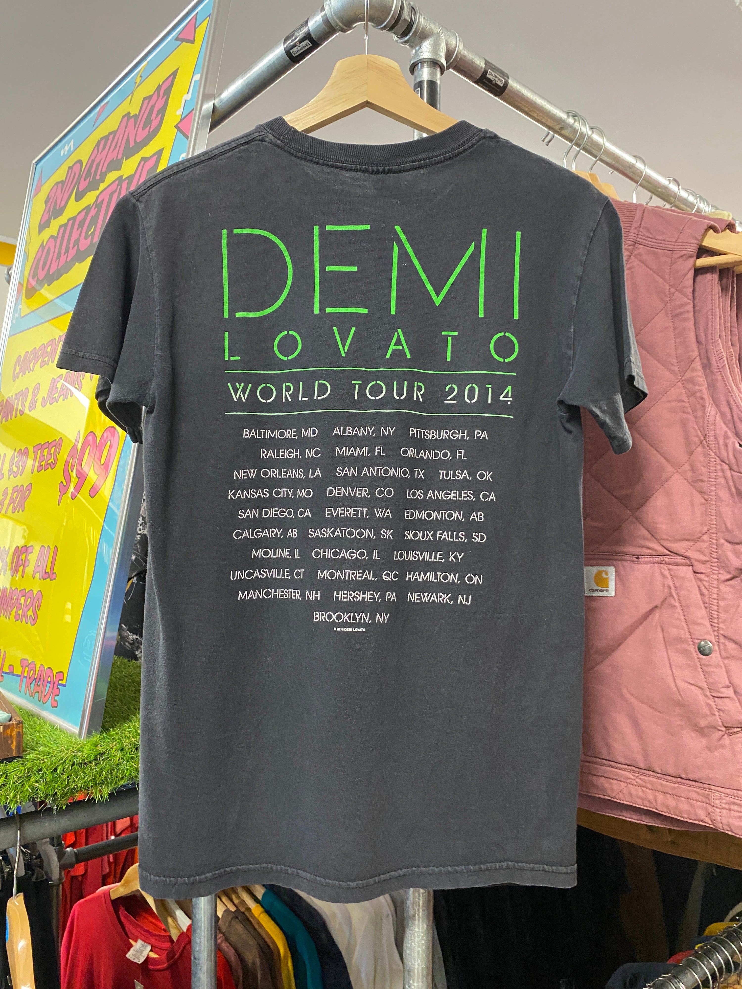 S - Demi World Tour 2015 DS