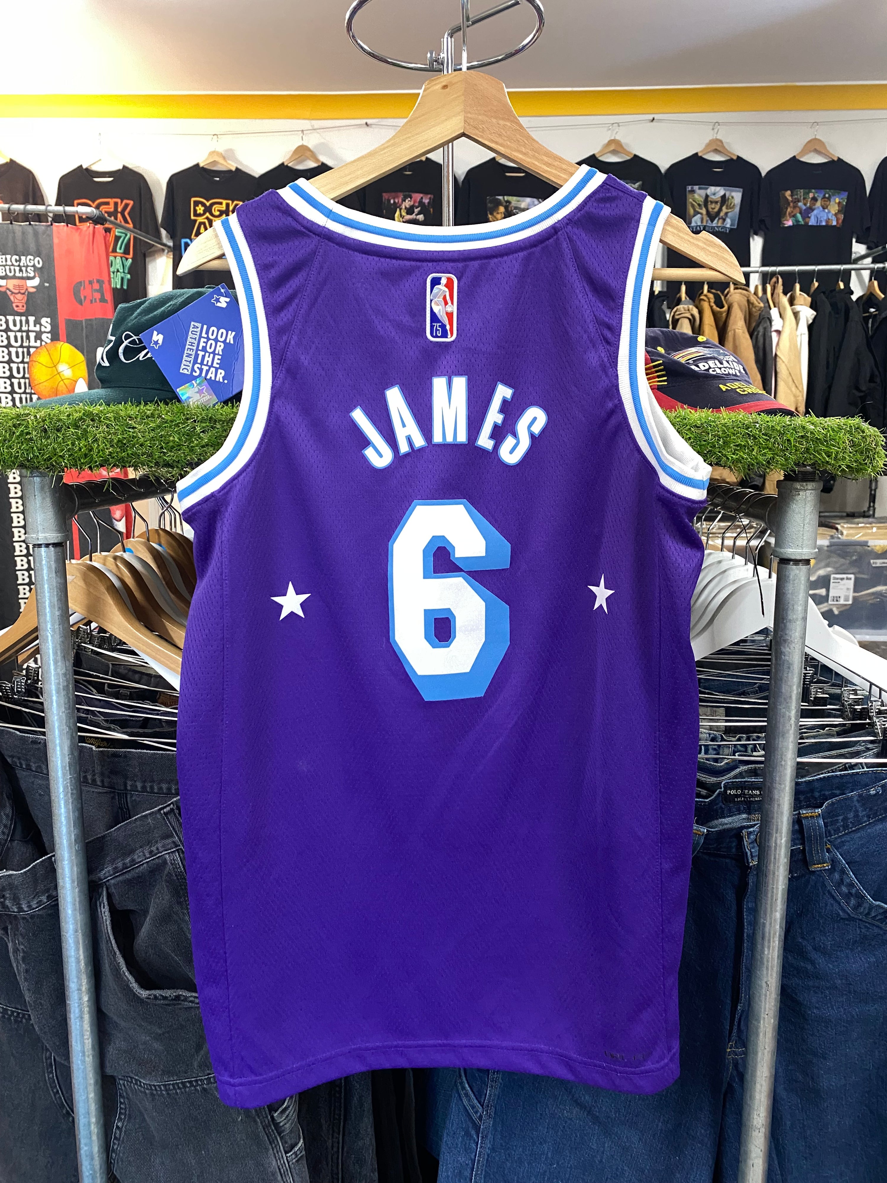 [S] NBA 75th Anniversary LA Lakers #6 Lebron James Purple Jersey