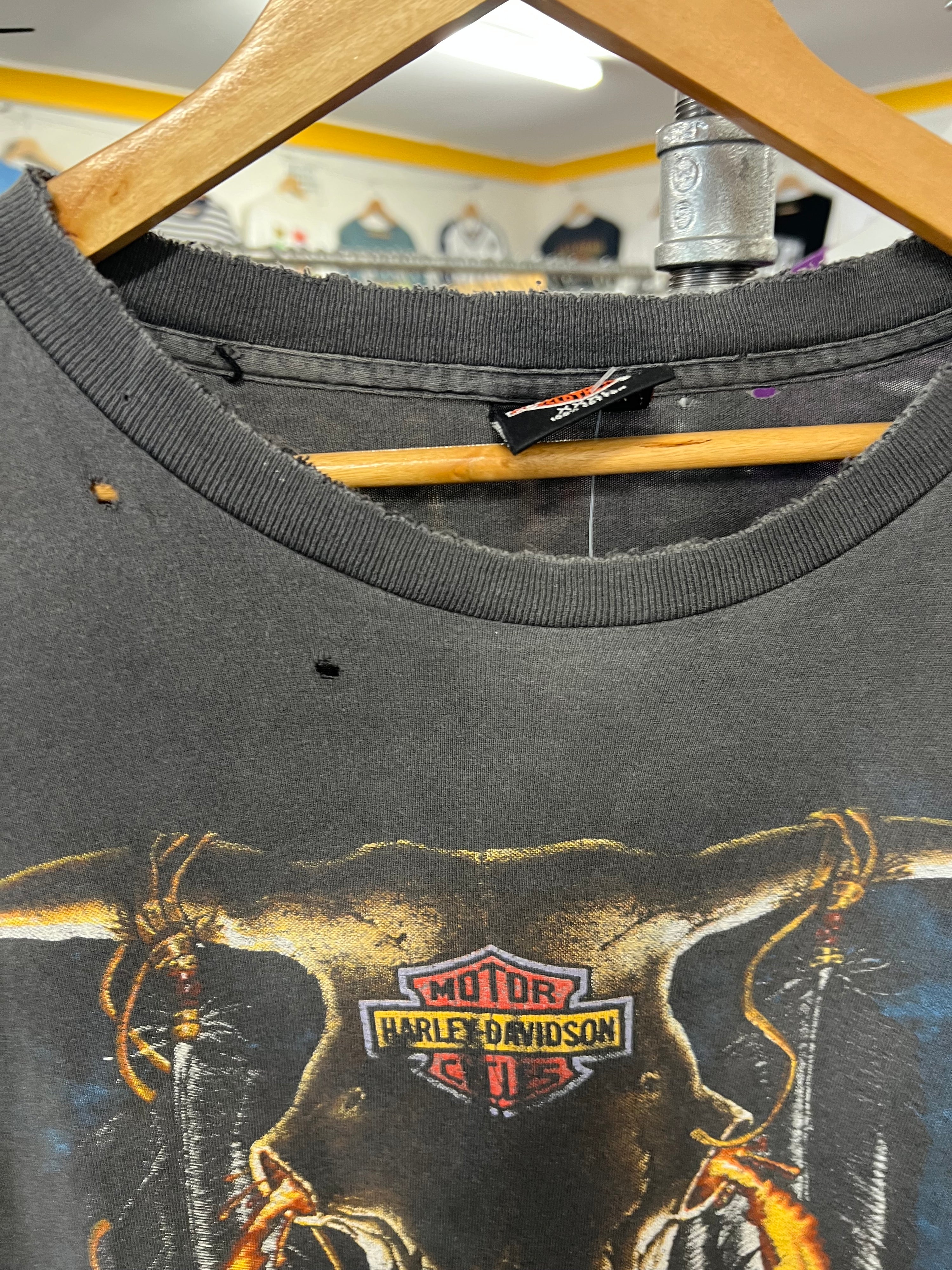 [3XL] 1990s Harley Davidson Fort Worth Distressed DS