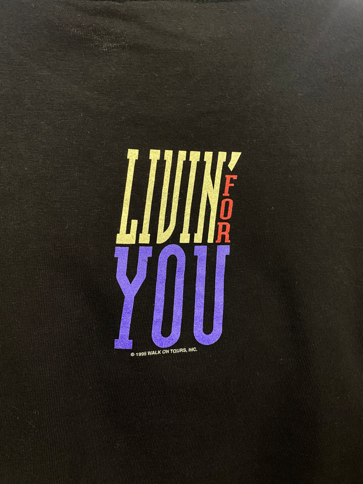 [L] 1995 Boston: Living For You Tour DS