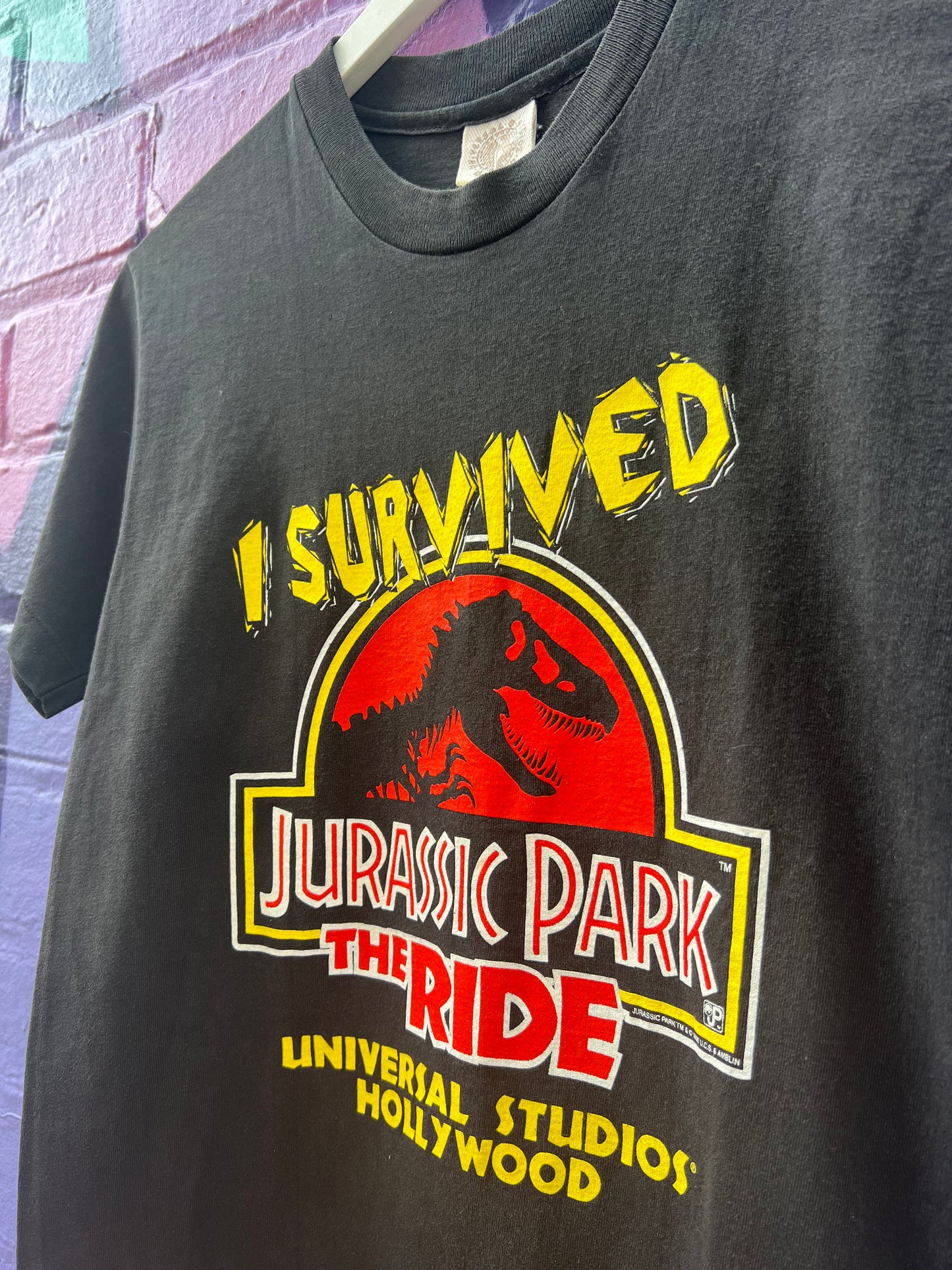 S - 1996 I Survived Jurassic Park The Ride