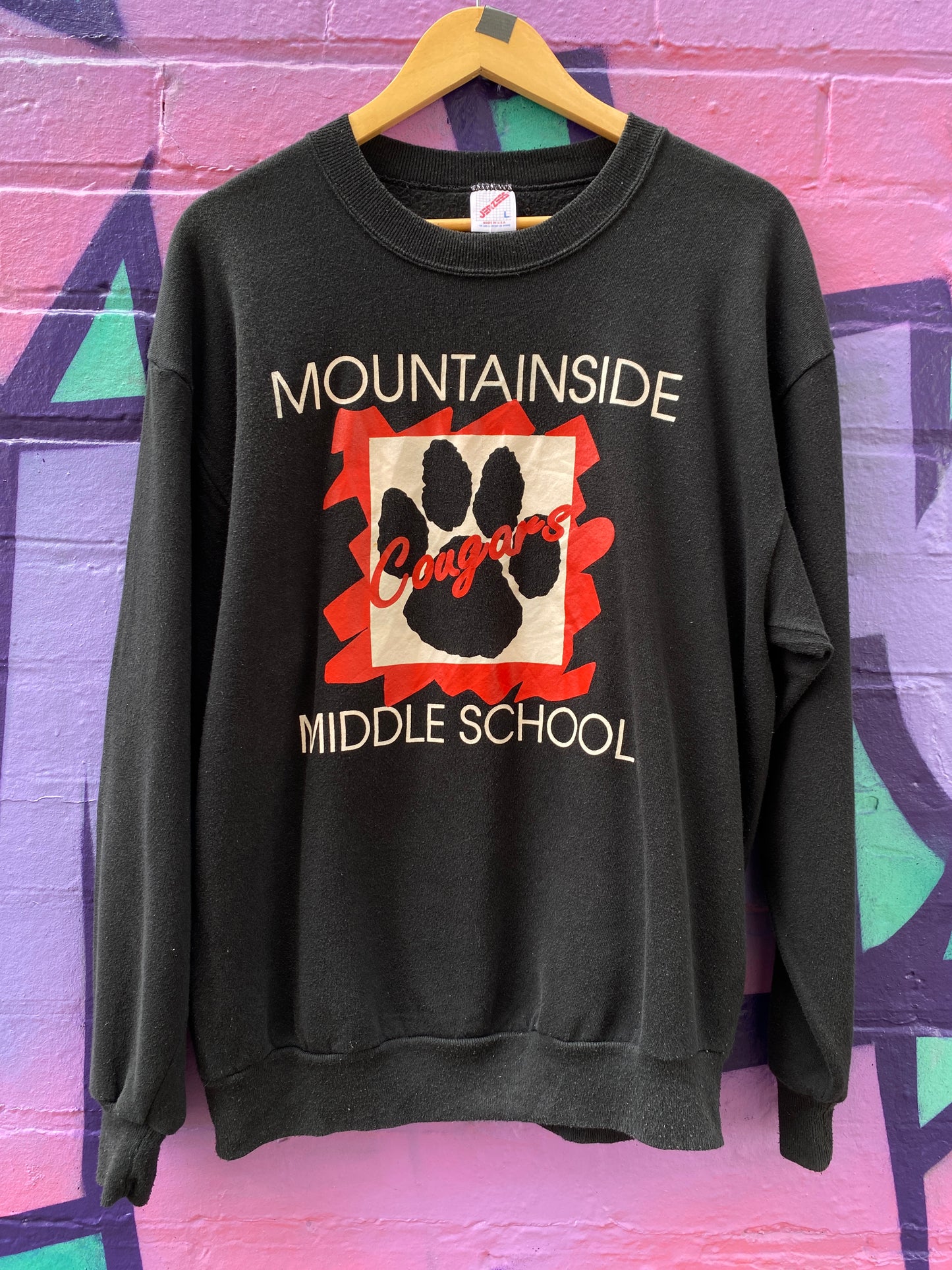 L - Vintage Mountainside Middle School Jumper